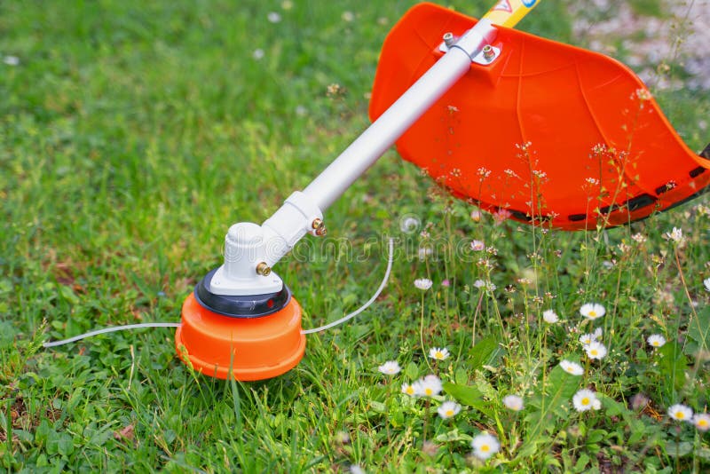 Brush Cutter String Head Cutting Grass in the Garden Stock Image