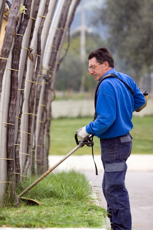 Protective hands planting stock photo. Image of protective 14365606