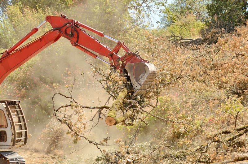 Track hoe excavator clearing trees and brush from a hillside in preperation for a new commerical construction development. Track hoe construction excavator stock images, royalty-free photos and pictures