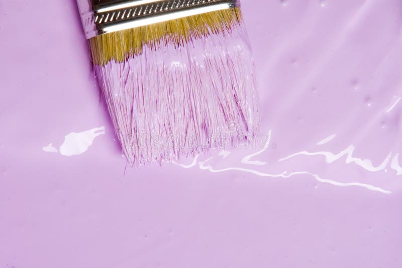 Spilled Paint on Carpet Insurance Claim Accident Stock Image Image of