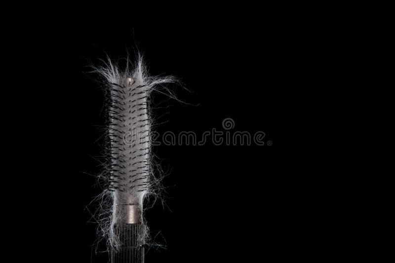 Brush with White Coat from a Cat. Stock Photo Image of fashion