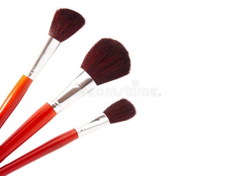 Brushes for makeup isolated