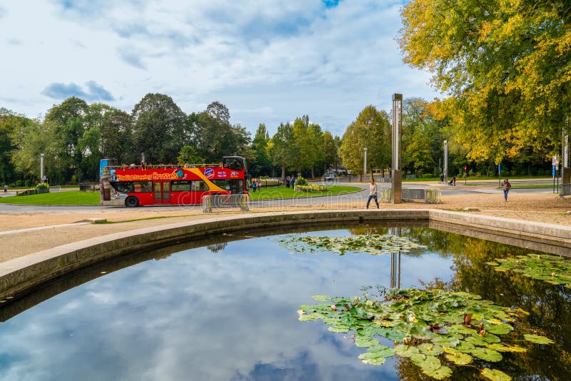 Brussels, Belgium / October 03, 2019: Water lily flowers and green leaves and Red tourist buses of City Sightseeing in background