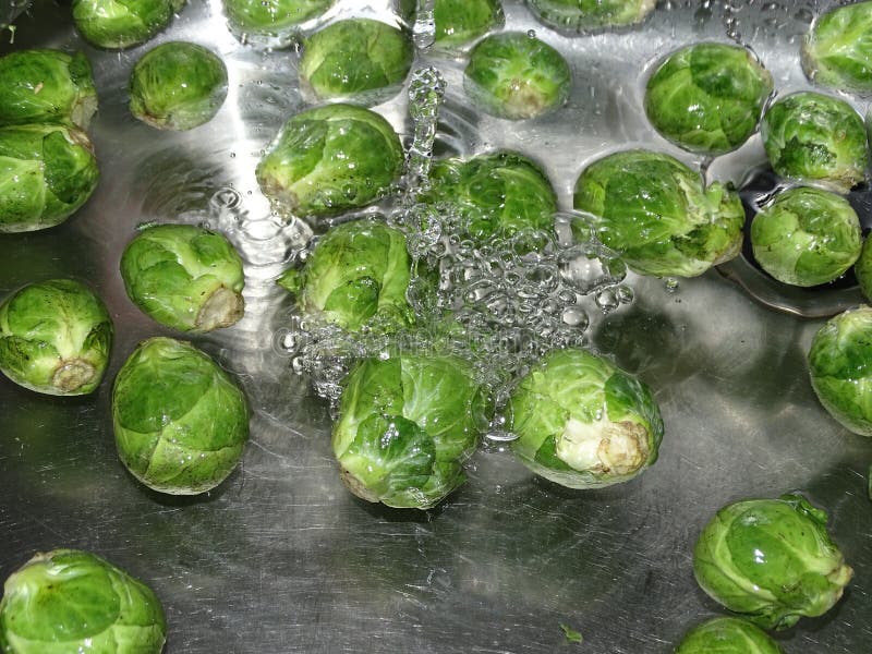 Wash And Trim Brussel Sprouts at Jessica Delgado blog