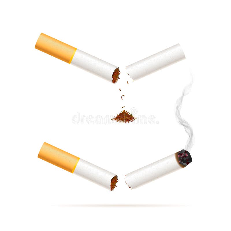 Bruten realistisk cigarett Avslutad röka befruktningillustration stock illustrationer Bruten realistisk cigarett Avslutad röka befruktningillustration stock illustrationer