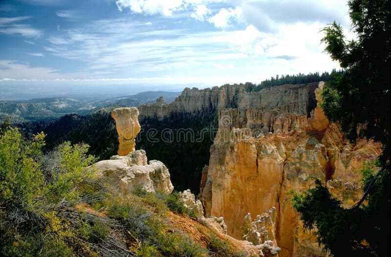 Bryce Canyon Hoodoos