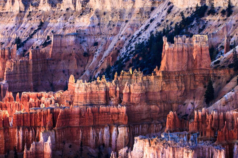 Bryce Canyon Hoodoos bij Zonsondergang stock afbeelding Bryce Canyon Hoodoos bij Zonsondergang stock afbeelding