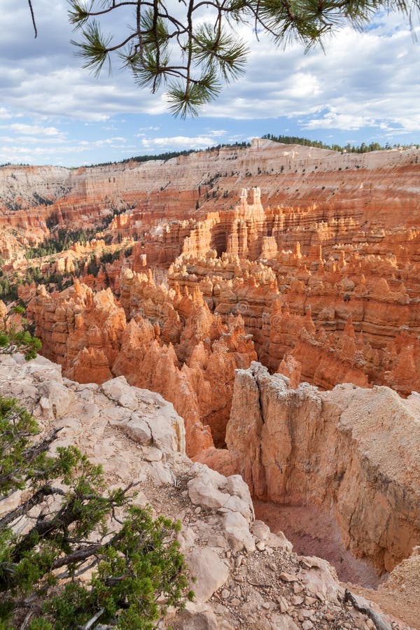 Bryce Canyon-mening van zonsondergangpunt royalty-vrije stock foto Bryce Canyon-mening van zonsondergangpunt royalty-vrije stock foto