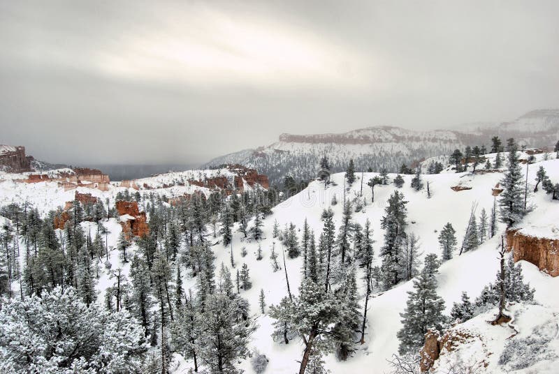 Bryce Canyon Morning