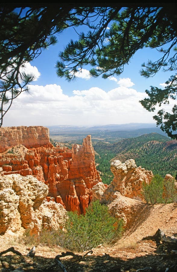 Bryce Canyon National Park, Utah, USA. Bryce Canyon National Park is an American national park located in southwestern Utah. The major feature of the park is royalty free stock photos Bryce Canyon National Park, Utah, USA. Bryce Canyon National Park is an American national park located in southwestern Utah. The major feature of the park is royalty free stock photos