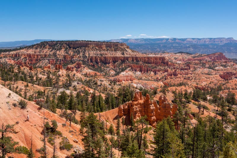 Bryce canyon national park landscape, Utah USA stock photography Bryce canyon national park landscape, Utah USA stock photography