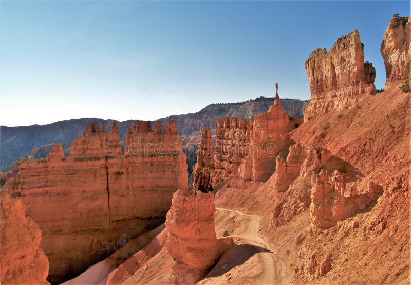 Bryce Canyon National Park Hoodoos Stock Photo - Image of park, hoodoos ...