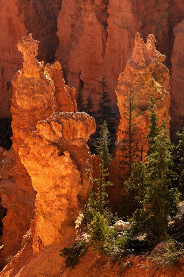 Bryce Canyon National Park Sunrise