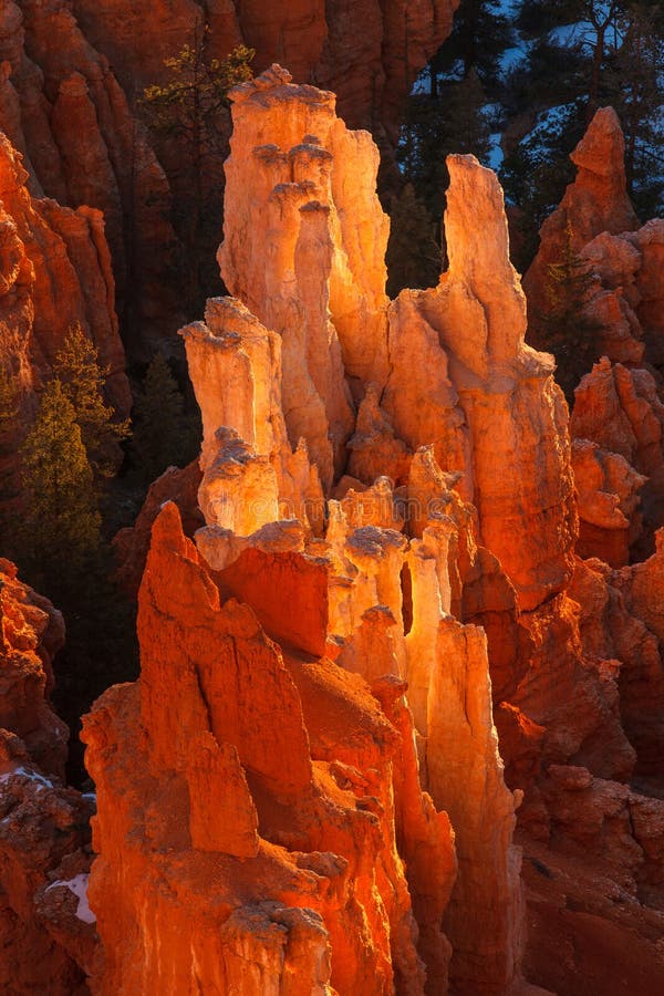 Bryce Canyon National Park Sunrise