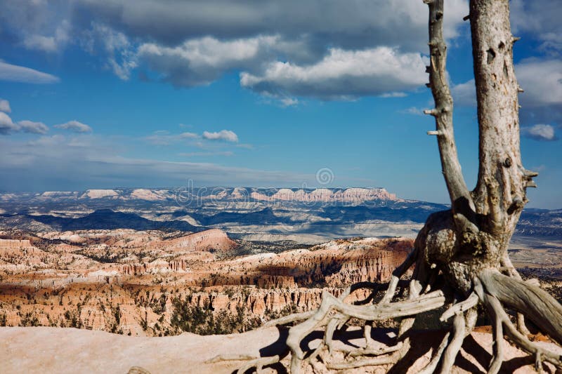 Bryce Canyon Scenic View with Dramatic Clouds fotografia stock