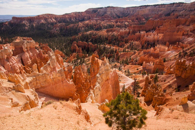 Bryce Canyon Vista foto de archivo libre de regalías Bryce Canyon Vista foto de archivo libre de regalías
