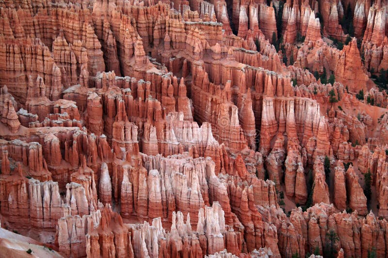 Bryce Overlook