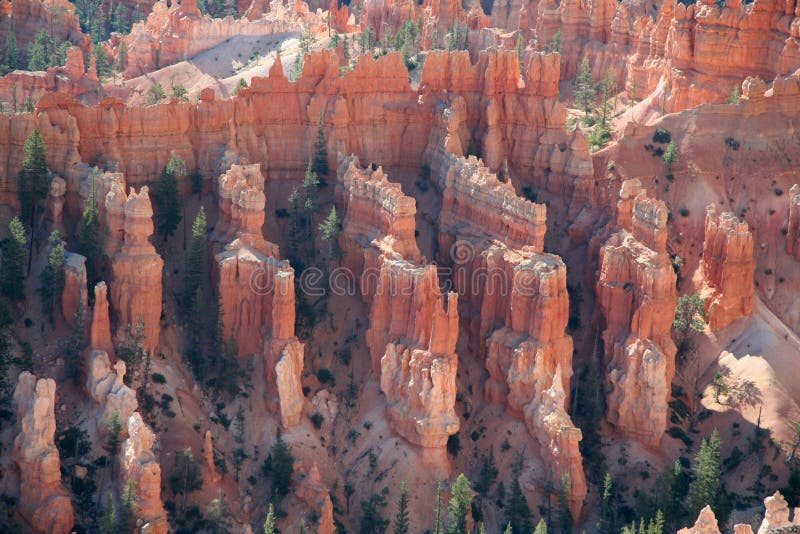 Bryce at Sunrise