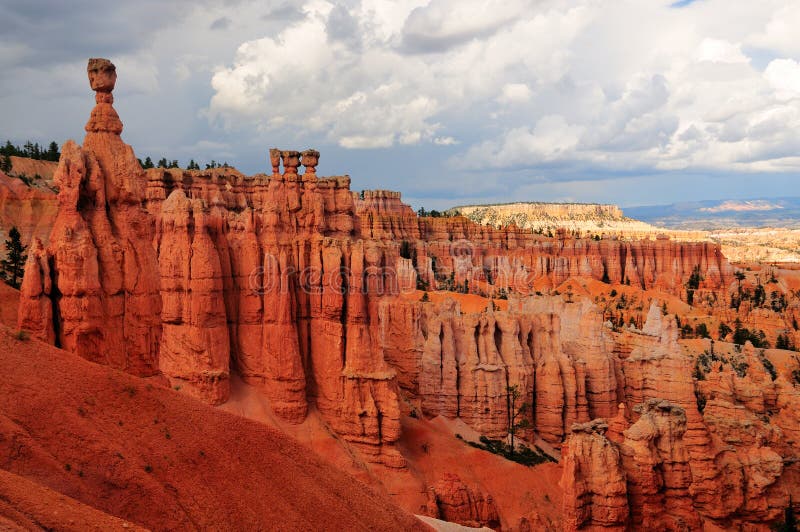 Red rocks in Bryce Canyon National Park, Utah. Red rocks in Bryce Canyon National Park, Utah