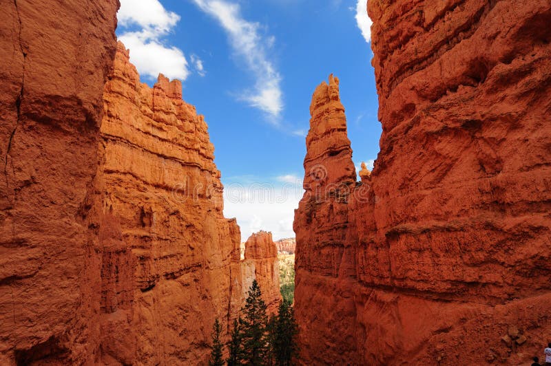 Red rocks in Bryce Canyon National Park, Utah. Red rocks in Bryce Canyon National Park, Utah