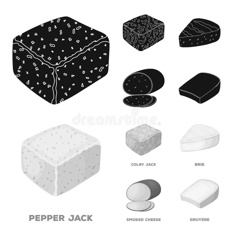 Brynza afumat colby jack pepper jackdiferite tipuri de icoane de colectare a seturilor de brânză în stilul monocrom negru stock illustration