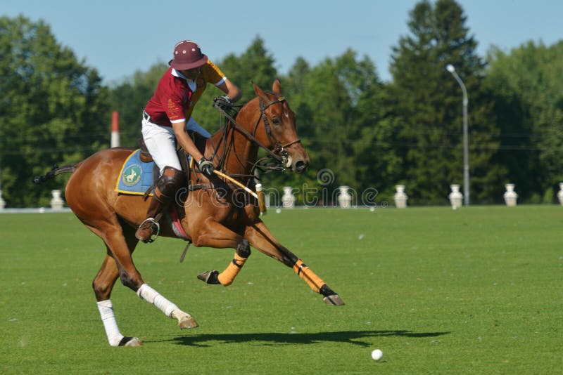 Brytyjski polo dzień w Moskwa obrazy royalty free