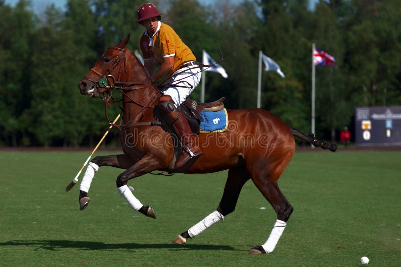 Brytyjski polo dzień w Moskwa zdjęcie royalty free