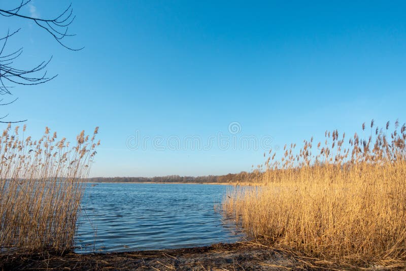Brzeg jezioro przy półmrokiem obraz stock Brzeg jezioro przy półmrokiem obraz stock
