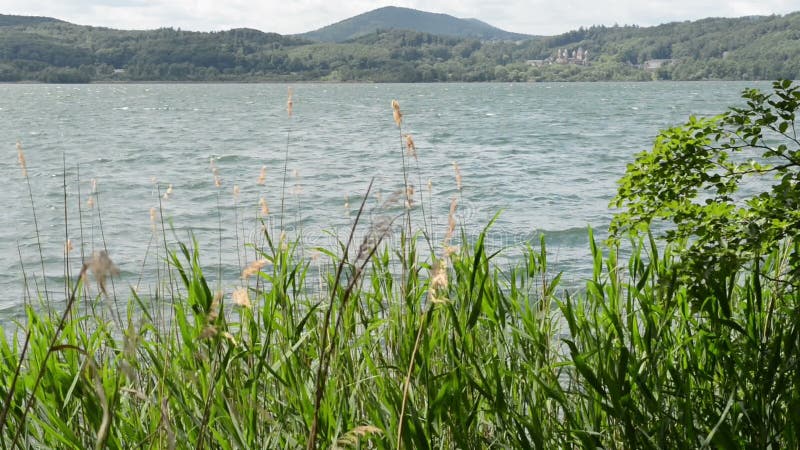 Brzeg Laach Jeziorny wulkan w Eifel regionie Niemcy