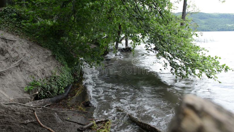 Brzeg Laach Jeziorny wulkan w Eifel regionie Niemcy