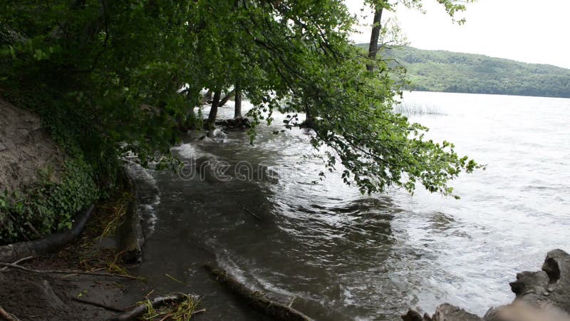 Brzeg Laach Jeziorny wulkan w Eifel regionie Niemcy