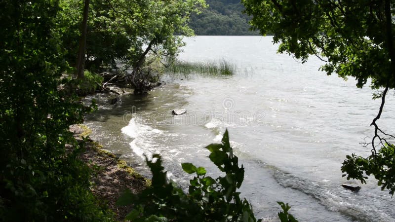 Brzeg Laach Jeziorny wulkan w Eifel regionie Niemcy