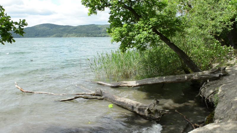 Brzeg Laach Jeziorny wulkan w Eifel regionie Niemcy