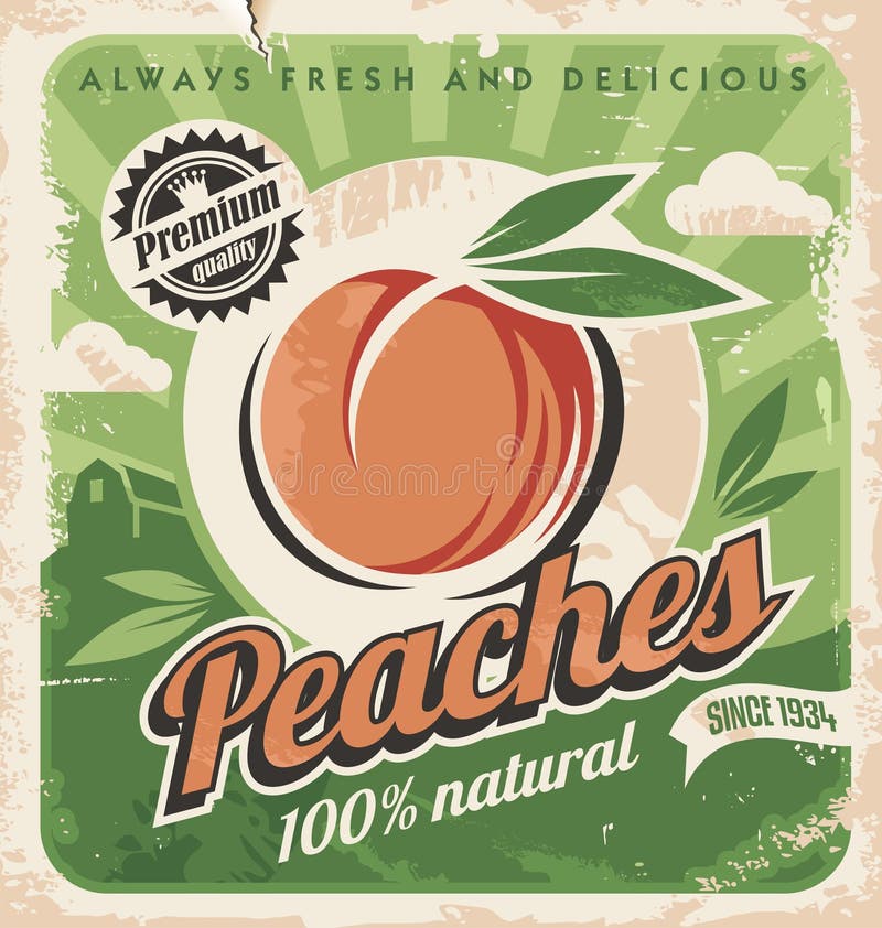 Retro design concept for fruit farm. 100 percent natural product, peach vector label design template with old paper texture. Retro design concept for fruit farm. 100 percent natural product, peach vector label design template with old paper texture.