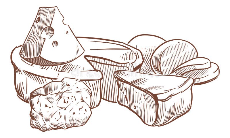 Brânză schiță. compoziții de artă cu brânzeturi. jumătăți întregi și felii diferite tipuri de produse lactate proaspete de fermă vector illustration