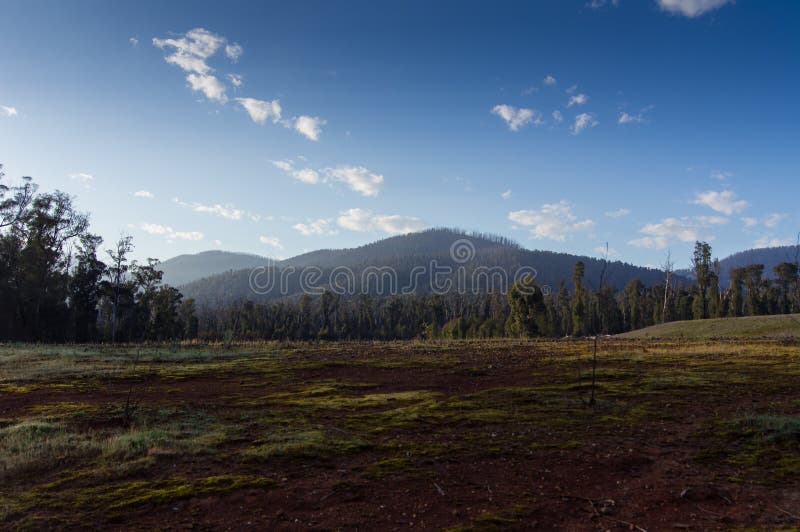 Scorched hills around the town of Marysville in October 2014, after a major bushfire in February 2009 devastated the region. Scorched hills around the town of Marysville in October 2014, after a major bushfire in February 2009 devastated the region.