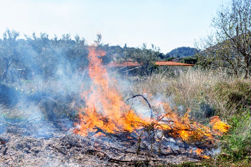 Brännande torrt gräs. Vildbrand på grund av varma vindar. royaltyfri foto
