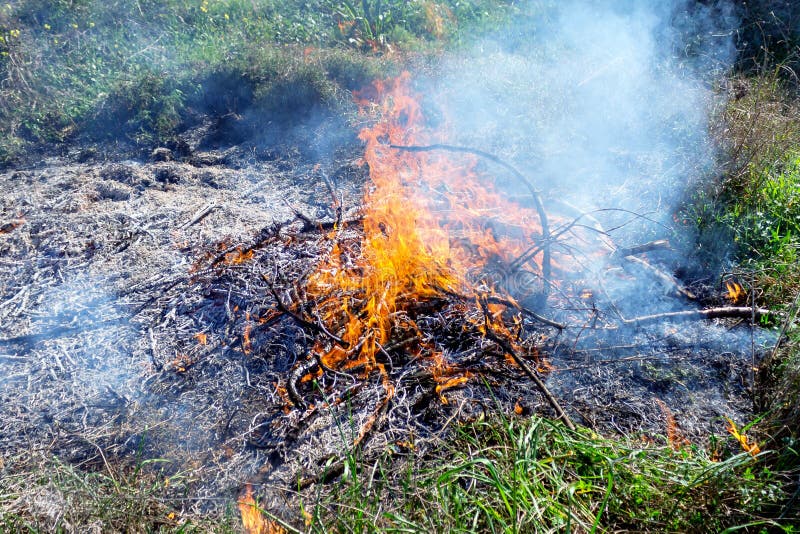 Brännande torrt gräs. Vildbrand på grund av varma vindar. arkivfoto