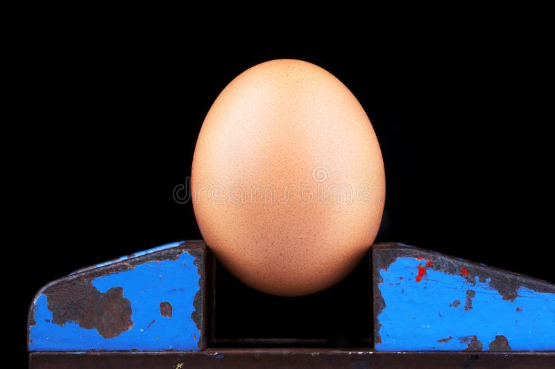 Bräunliches Ei in einem Laster lizenzfreies stockfoto Bräunliches Ei in einem Laster lizenzfreies stockfoto