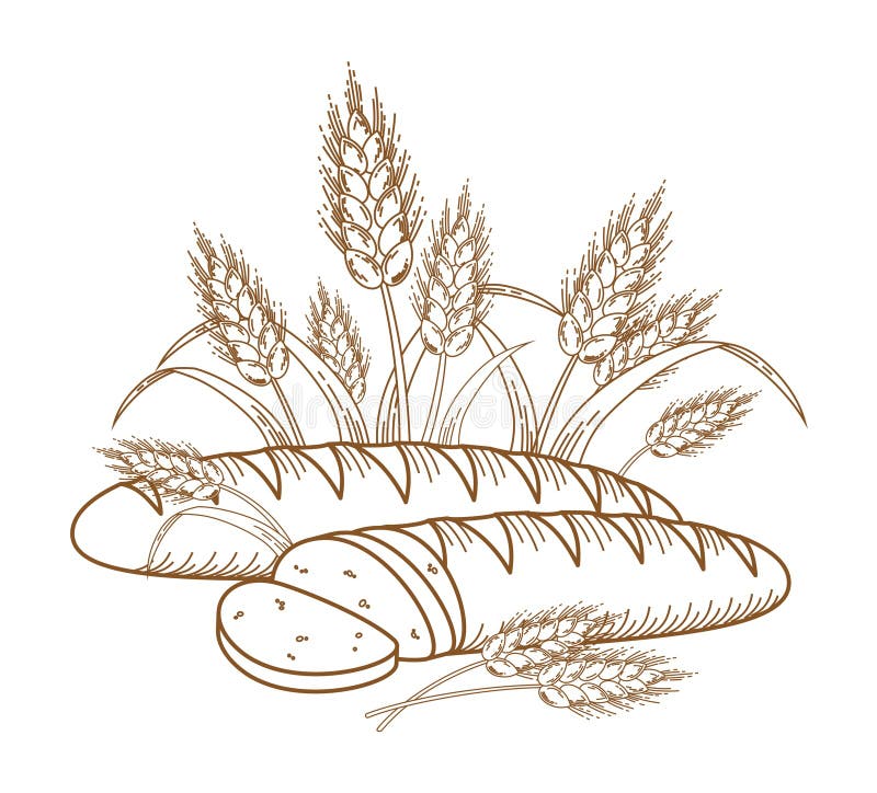 bröd stock illustrationer bröd stock illustrationer