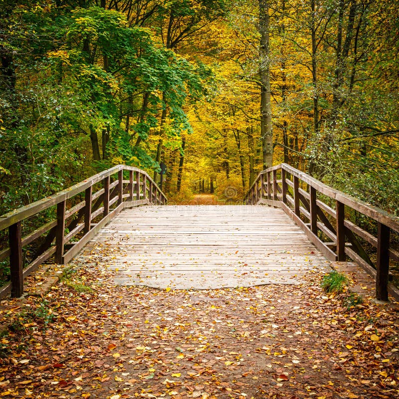 Brücke im Herbstwald lizenzfreie stockbilder Brücke im Herbstwald lizenzfreie stockbilder