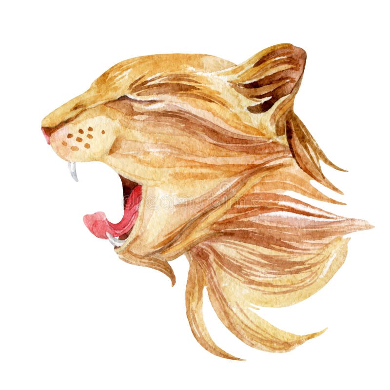 Roaring cat. Watercolor cat head. Hand painted illustration. Roaring cat. Watercolor cat head. Hand painted illustration