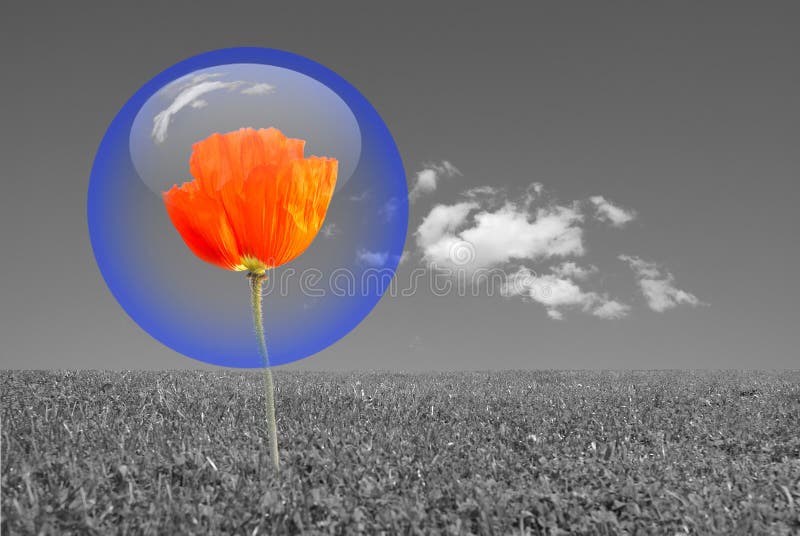 Bubble protection stock image. Image of environment, bubble 6914871