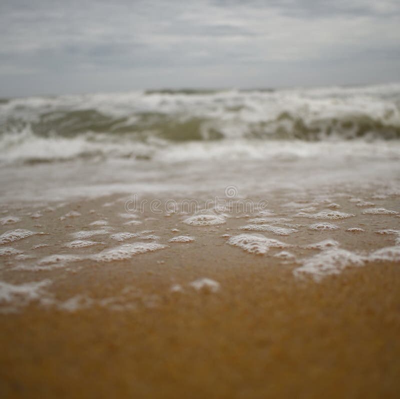 Collection 93+ Images what are the bubbles on the beach Latest