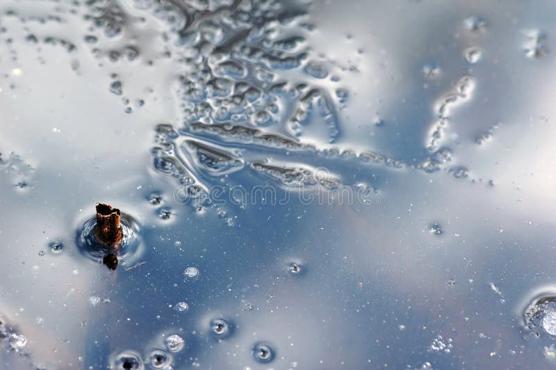Bubbles on pond stock image. Image of lettuce, lake, algae 39788289