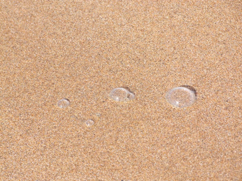 Bubbles in the sand stock photo. Image of bubbles, island 10898004