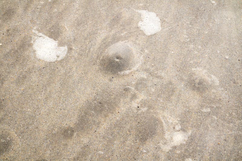 Bubbles in the Sand Showing that the Tide is Coming in Stock Photo