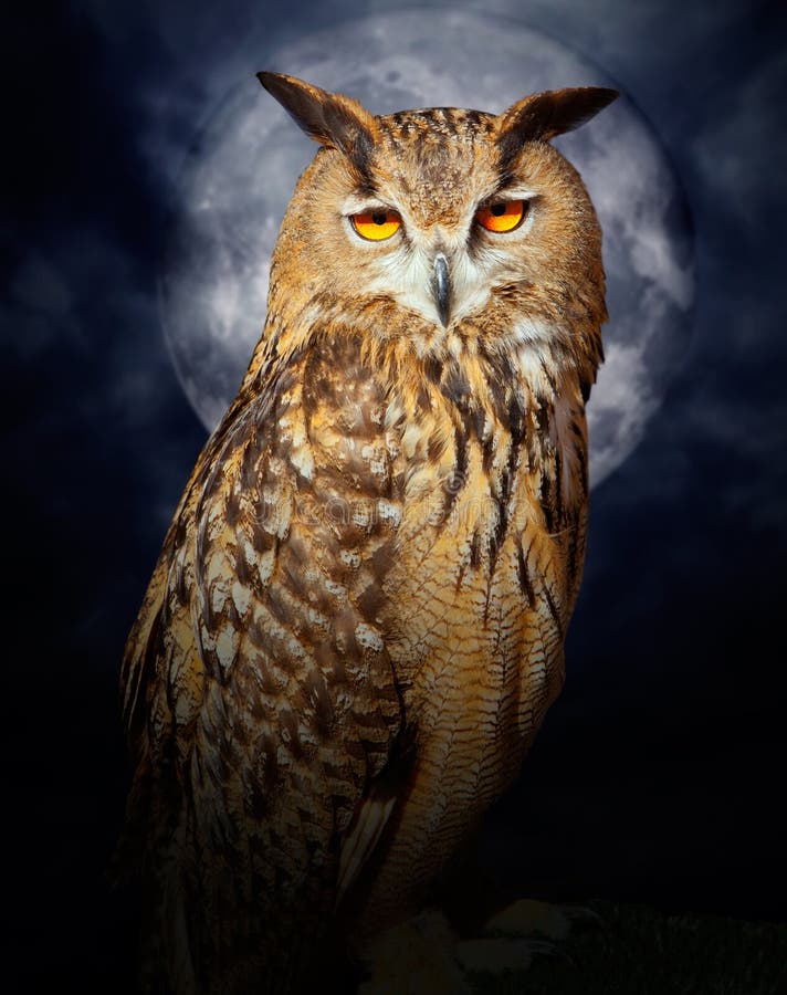 Bubo bubo eagle owl night bird in full moon cloudy dramatic night. Bubo bubo eagle owl night bird in full moon cloudy dramatic night
