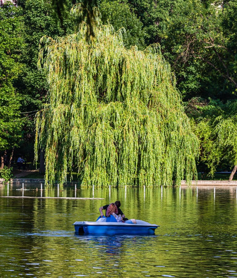 Bucarest, Rumania - 2019 Retrato de pares jovenes en el amor que habla mientras que canotaje del pedal en el lago Hombre y mujer imagen de archivo Bucarest, Rumania - 2019 Retrato de pares jovenes en el amor que habla mientras que canotaje del pedal en el lago Hombre y mujer imagen de archivo