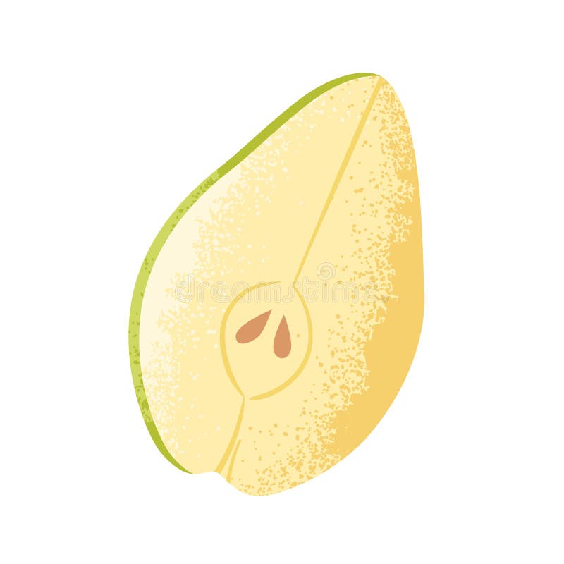 Bucată de pere proaspătă. felie de fructe coapte tăiate pe jumătate cu semințe. alimente sănătoase de vară. secțiune crudă natural royalty free illustration